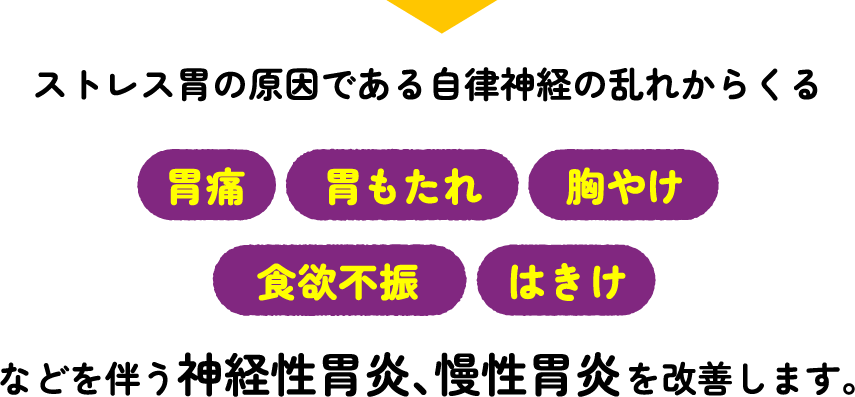 ストレス胃の原因である自律神経の乱れからくる胃痛・胃もたれ・胸やけ・食欲・不振・はきけなどを伴う神経性胃炎、慢性胃炎を改善します。