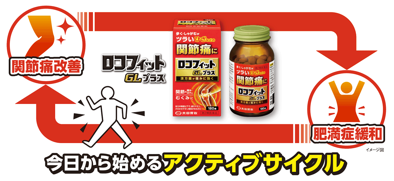 今日から始めるアクティブサイクル