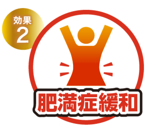 効果2 肥満症改善